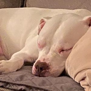 Meet your Posher, Kathryn